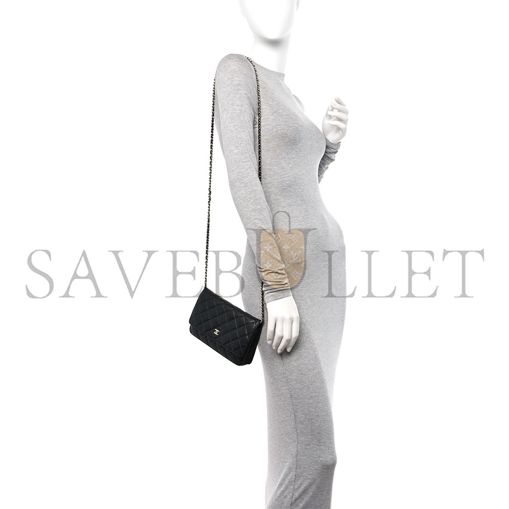 Ch*el classic wallet on chain silver hardware ap0250 y01480 c3906 (19.2*12.3*3.5cm)